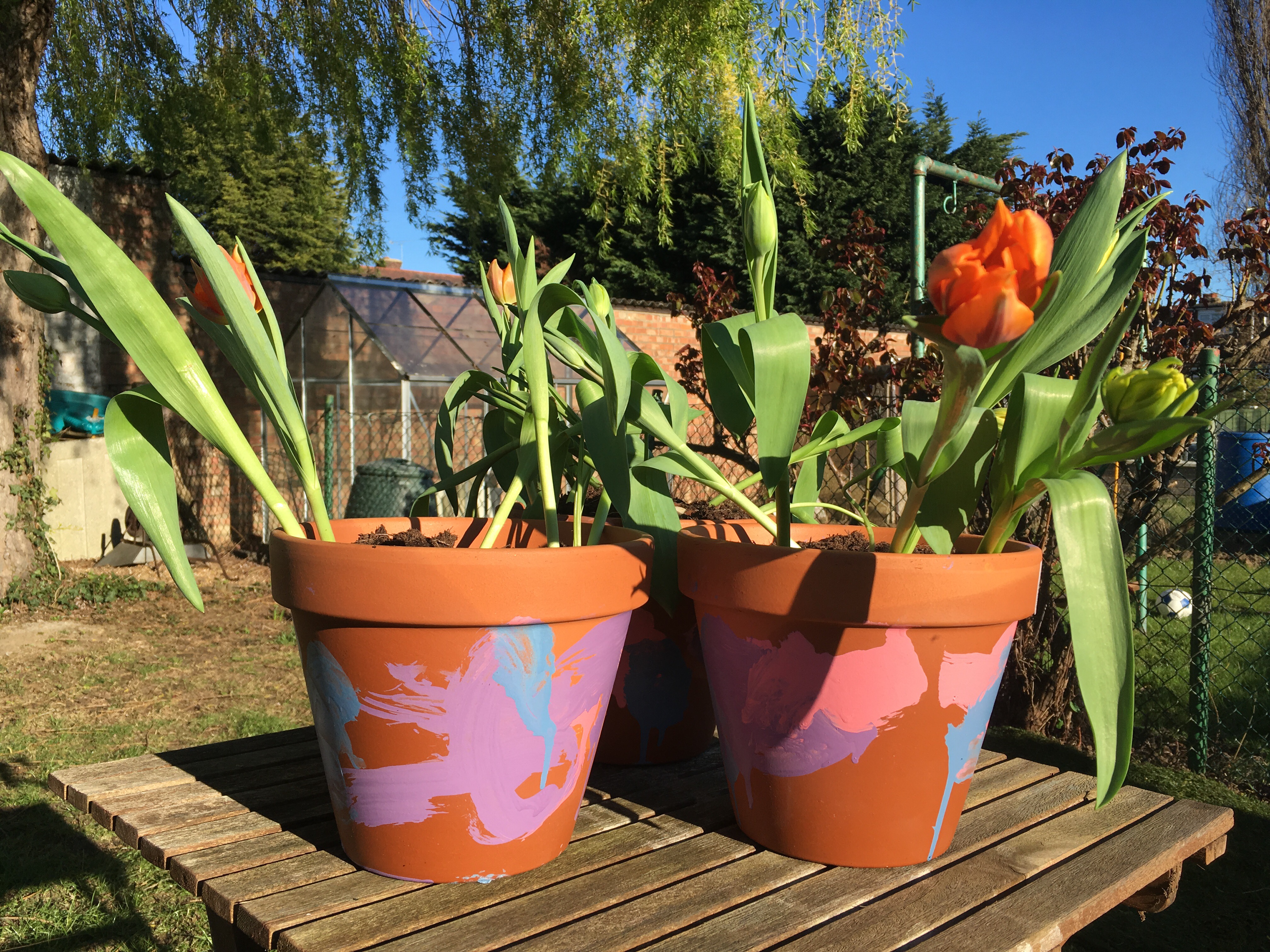 Painted Plant Pots for Mother's Day.
