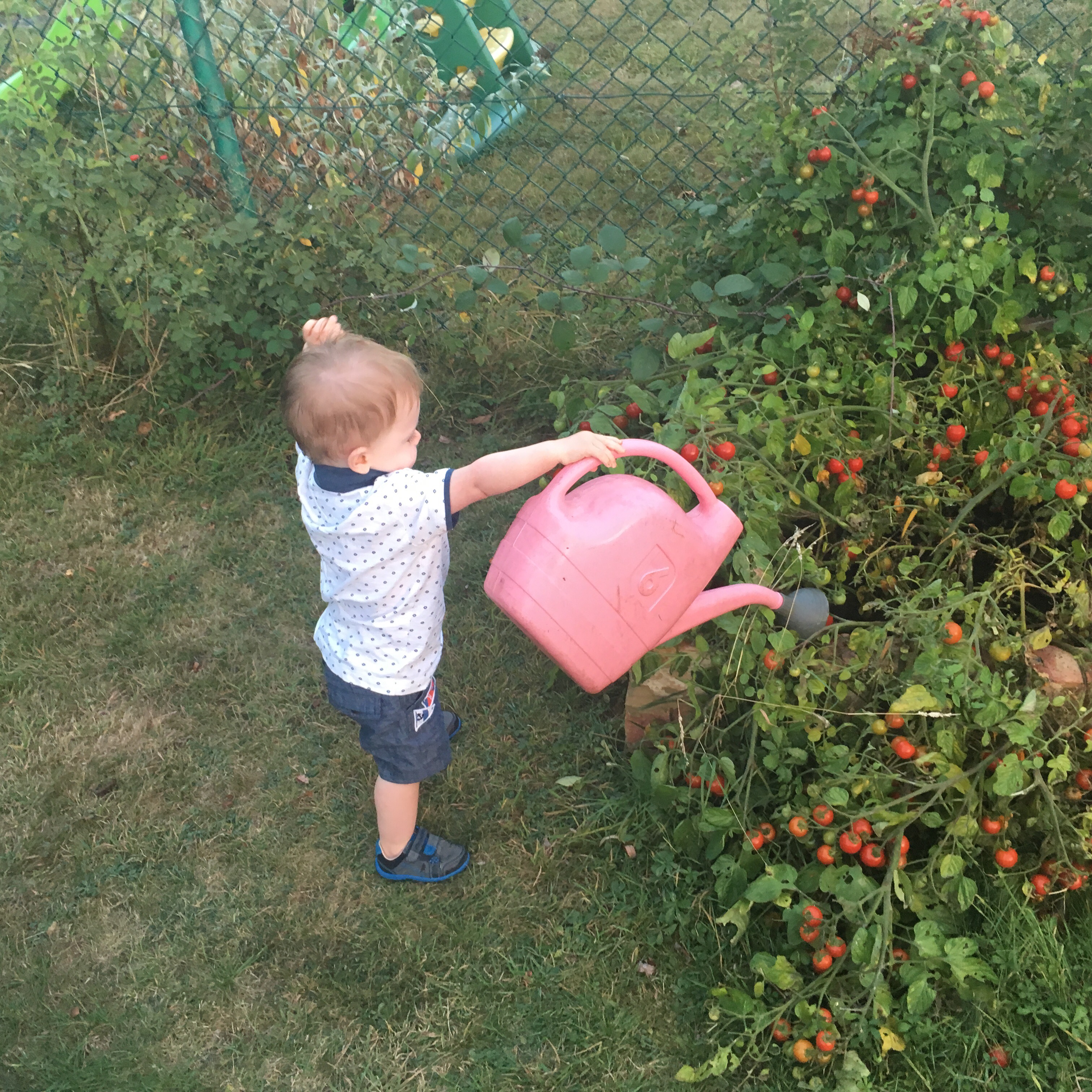 Getting your Toddler Involved with the Gardening.