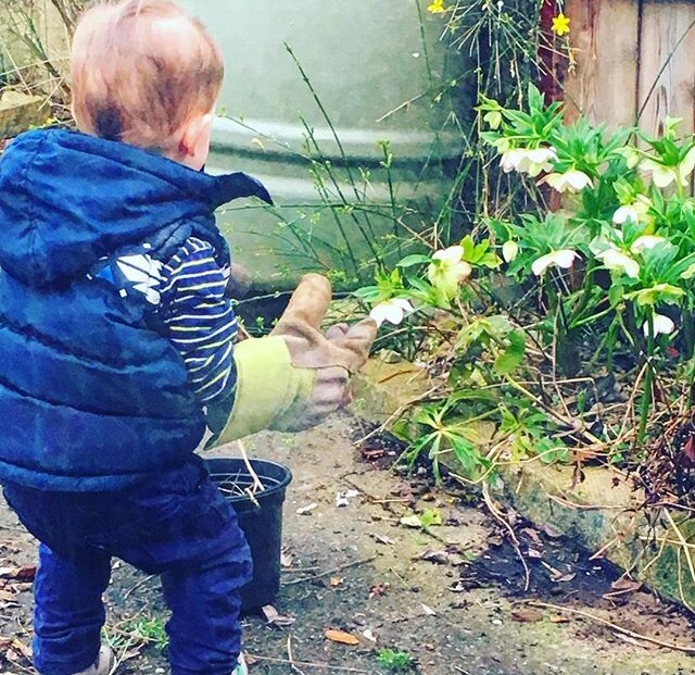 Getting your Toddler Involved with the Gardening.