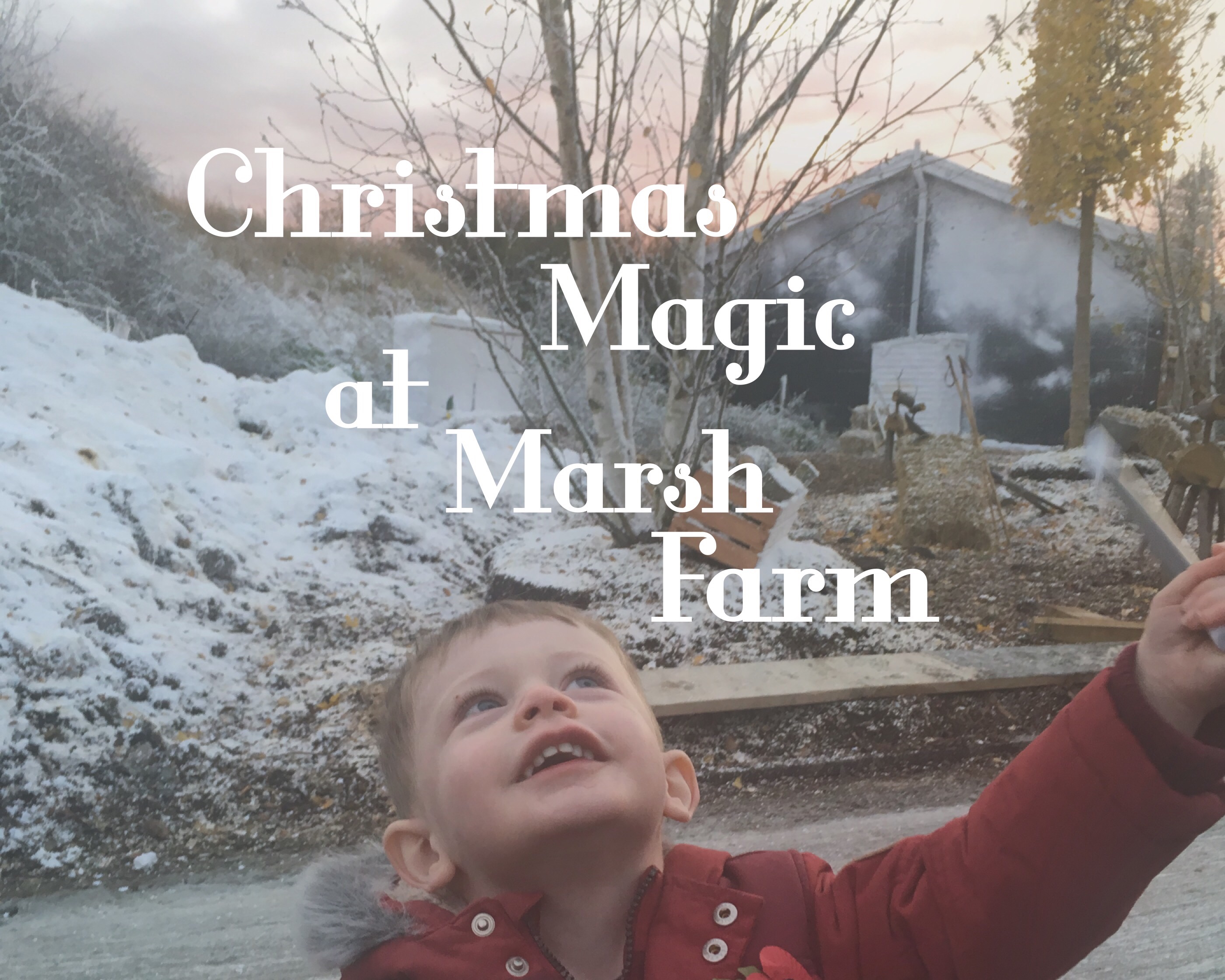 Christmas Magic at Marsh Farm All Things Spliced